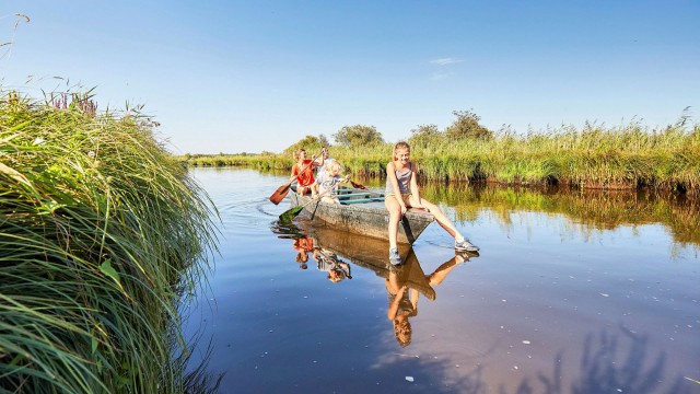 Balade en barque à Brière en Pays de la Loire