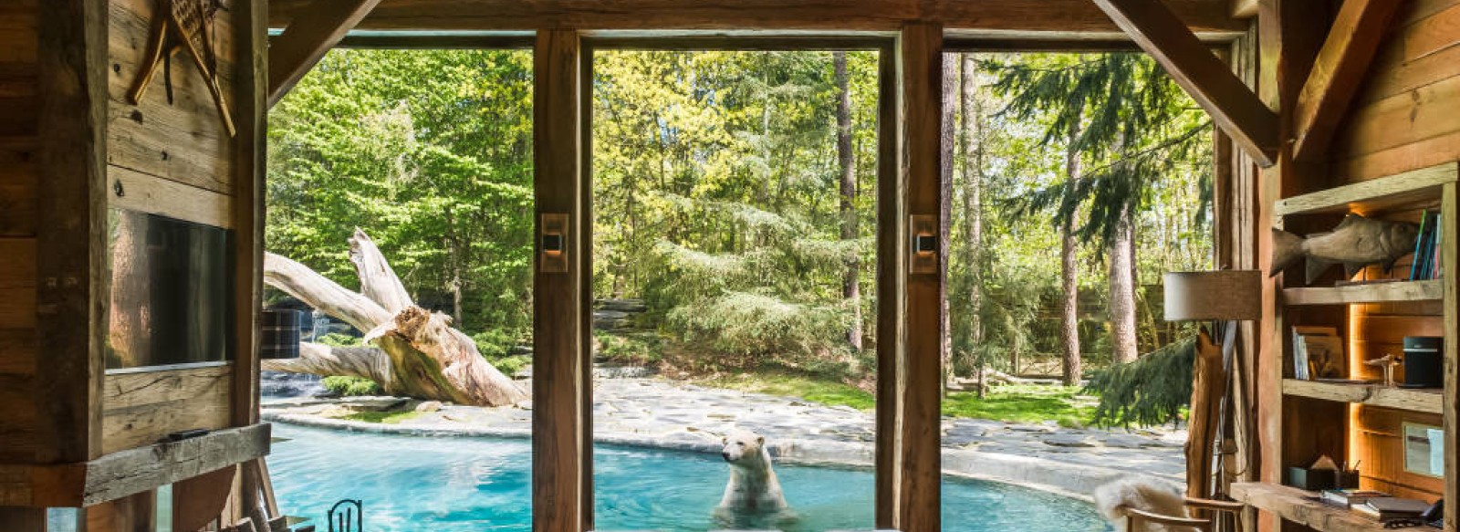 Safari Lodge - Zoo de La Fleche