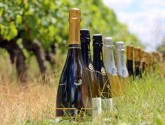Domaine de la Gonorderie