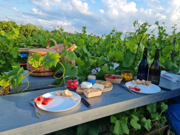 ©Vignoble Marchais
