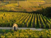 © Domaine des Barres