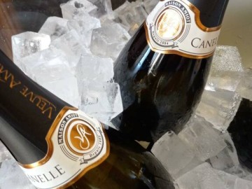 canelle_vasque_glace.jpg - Dégustation_17 veuve amiot coquelin sandrine