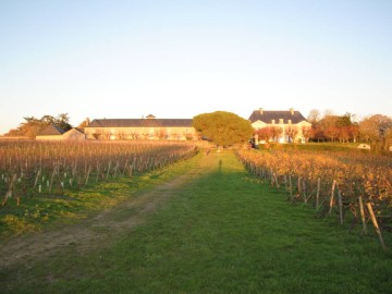 Domaine aux Moines_1 Domaine aux Moines