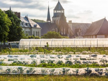 Fontevraud L'Ermitage - David Darrault