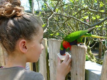 3-ZoodesSables-copyright-S.Silhol S.Silhol