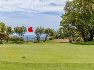 358936 - Golfs à proximité Clévacances France