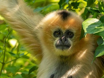 5-ZoodesSables-copyright-P.Chabot P.Chabot