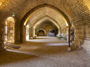 Abbaye-Maillezais-0710 Julien Gazeau