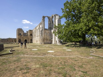 Abbaye-Maillezais-0748 Julien Gazeau