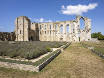 Abbaye-Maillezais-0756 Julien Gazeau