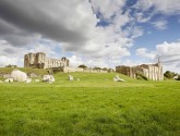 Majestic abbeys