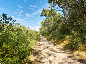 Sentier randonnée La Tranche sur Mer