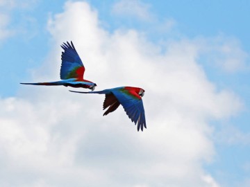 ZOO BOISSIERE DU DORE