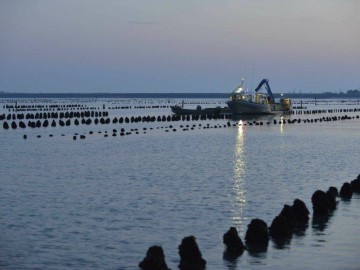baie%20de%20laiguillon%20sur%20mer ENOVA
