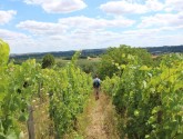OT Vallée du Loir