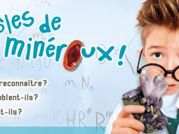Banniere ©MuseeMangeCailloux