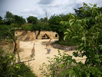 Bioparc