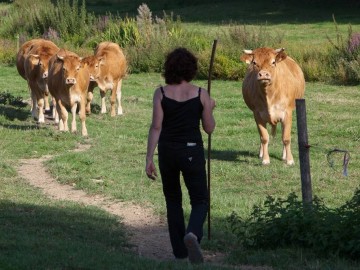 © Elisa tanguy