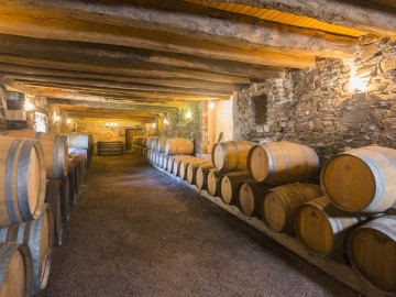 Une des Caves EtonNantes du Vignoble nantais