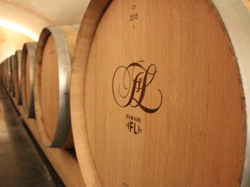 @domainefl