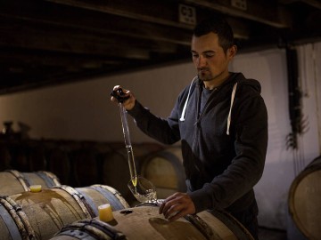 chais-a-barriques Domaine Ménard-Gaborit