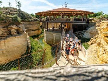 Bioparc-S.Gaudard