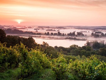 Domaine-aux-Moines1