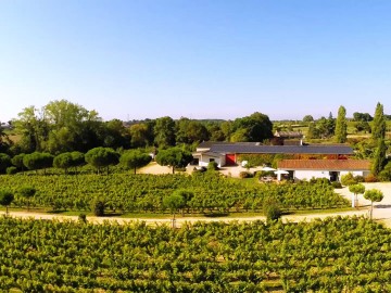 Domaine de la Bergerie 
