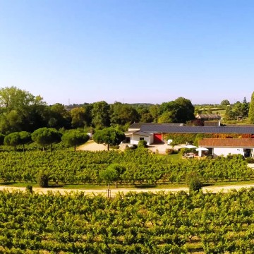 Eat among the vines at La Table de la Bergerie!