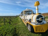 P'tit Train Vignes Loire