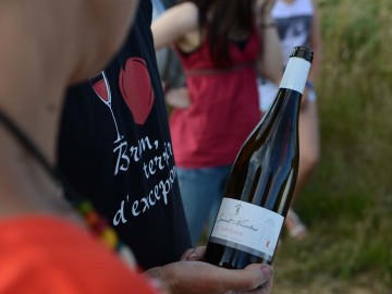 Domaine_StNicolas_ThierryMichon_1