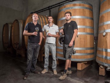 Domaine_StNicolas_ThierryMichon_2