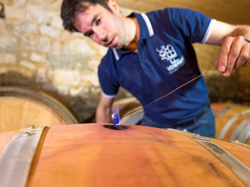 Domaine Coirier - Vins de Pissotte