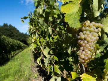 ©Domaine des 2 arcs