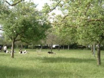 Ferme du Theil