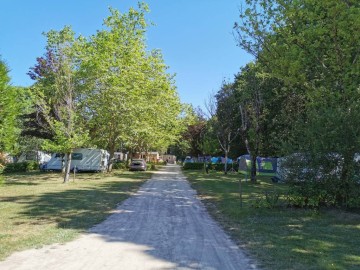 Camping la Foret