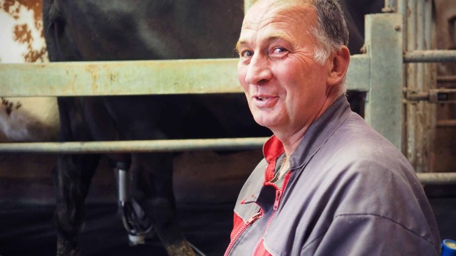 L'heure de la traite - Photo T. Le Gourrierec