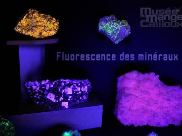 fluorescence ©MuseeMangeCailloux