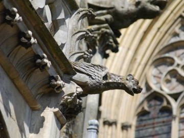 Ville du Mans