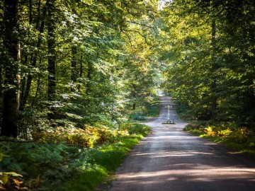 foret-de-berce-sarthe-velo-route ©Jean-Philippe-BERLOSE-CEMJIKA
