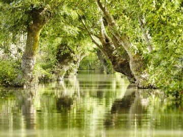 Alexandre Lamoureux/ Vendée Expansion