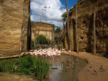 Bioparc