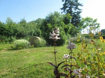 Les Hesperis_18 Gîtes de France Vendée