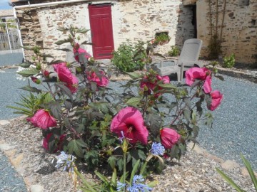 Les Vieilles Pierres_17 Gîtes de France Vendée