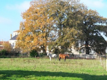 Gîtes de France Vendée