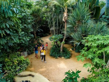 hd1-serre-tropicale-c-terrabotanica_13 ©terra-botanica-angers
