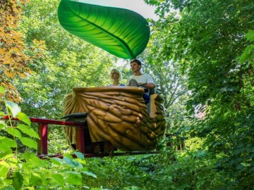 coquille-de-noix-c-medhy-terra-botanica_14 ©terra-botanica-angers