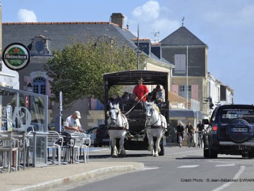 ile-de-noirmoutier-sites-touristiques-et-de-loisirs-hippobus-1-3596 Vendée des Iles