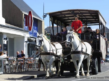 ile-de-noirmoutier-sites-touristiques-et-de-loisirs-hippobus-2-3597 Vendée des Iles