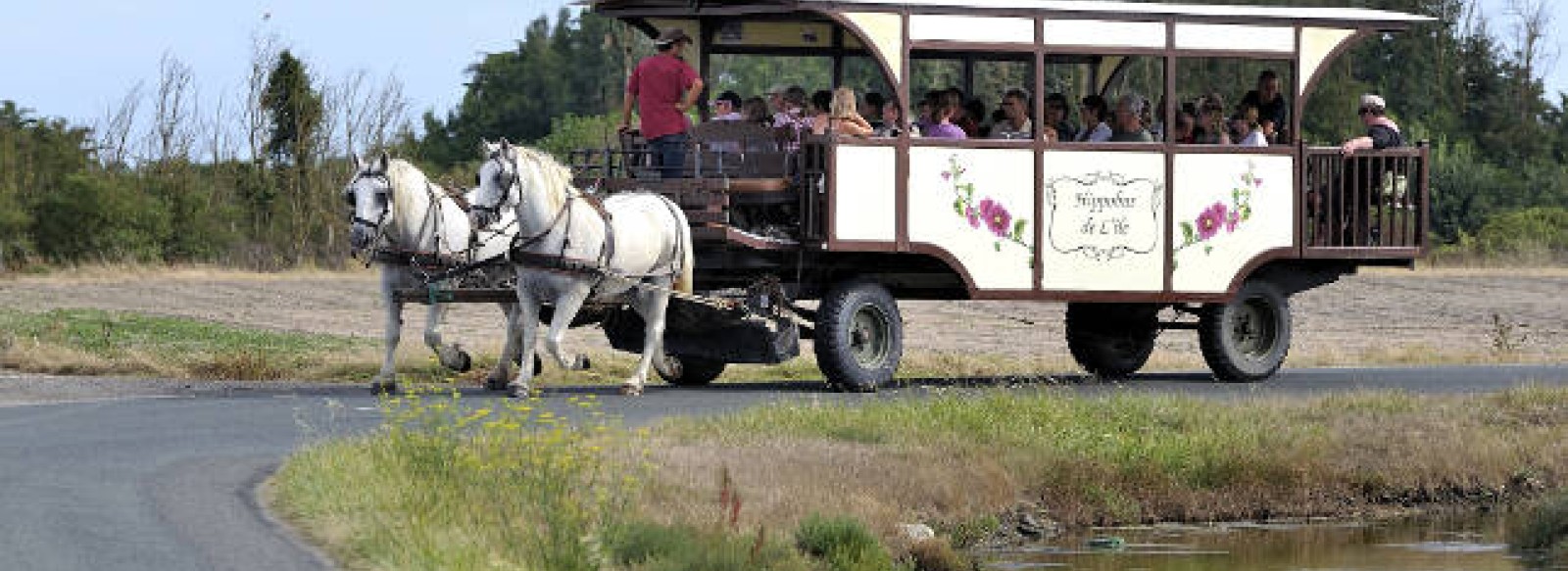 HIPPOBUS DE L'ILE - BALADES EN CARRIOLE